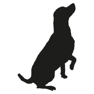 (c) Blackdogbroadmayne.co.uk